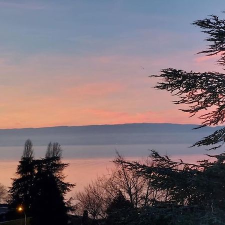 Le Mirabeau Vue Lac Evian-les-Bains Exterior photo